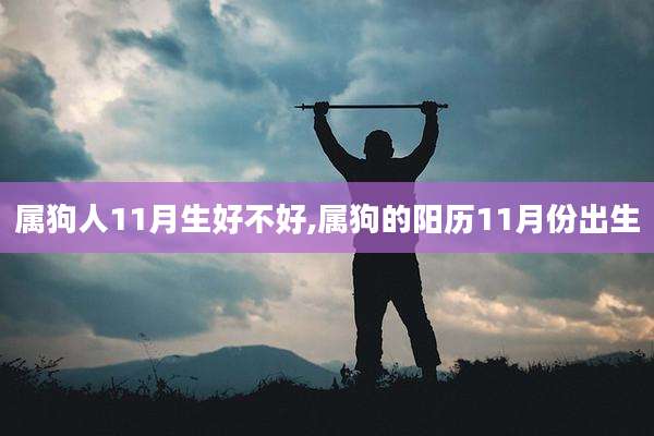属狗人11月生好不好,属狗的阳历11月份出生