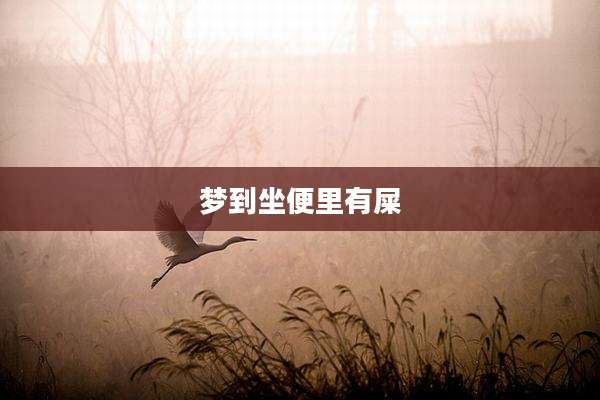 梦到坐便里有屎
