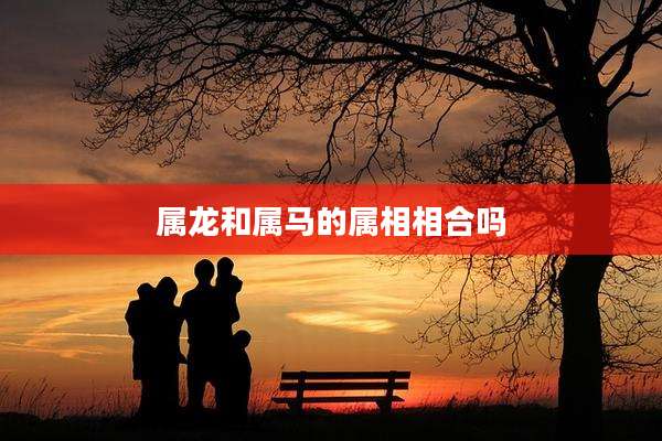 属龙和属马的属相相合吗