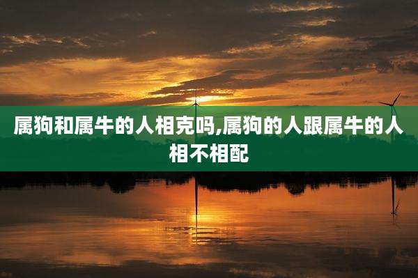 属狗和属牛的人相克吗,属狗的人跟属牛的人相不相配