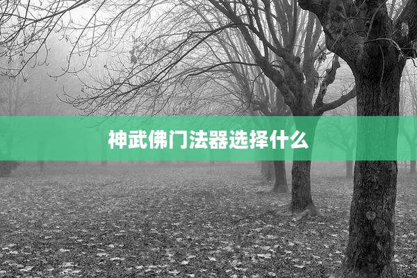 神武佛门法器选择什么