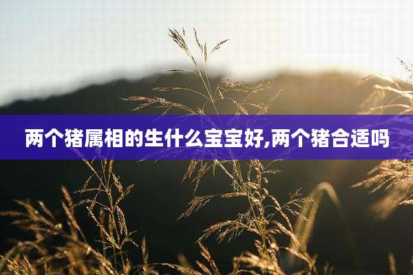 两个猪属相的生什么宝宝好,两个猪合适吗