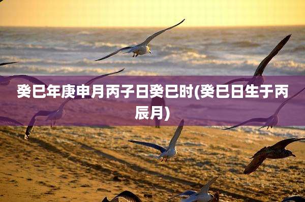 癸巳年庚申月丙子日癸巳时(癸巳日生于丙辰月)