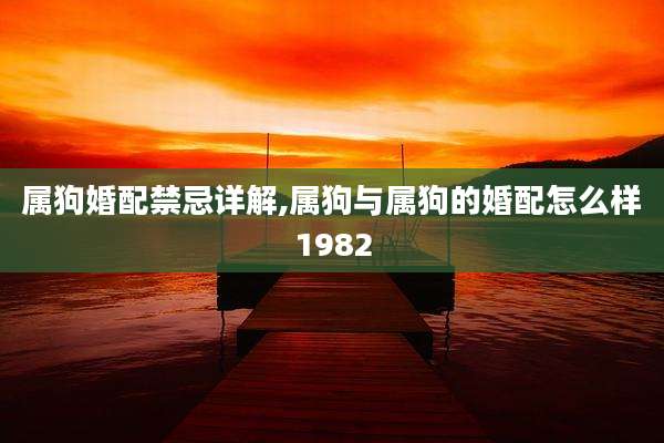 属狗婚配禁忌详解,属狗与属狗的婚配怎么样1982