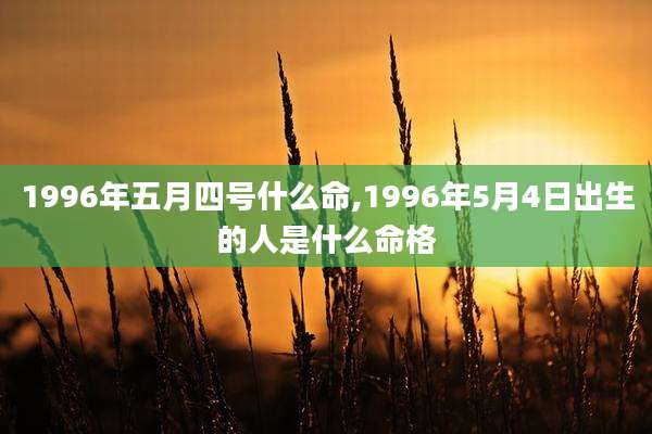 1996年五月四号什么命,1996年5月4日出生的人是什么命格