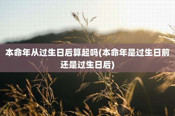 本命年从过生日后算起吗(本命年是过生日前还是过生日后)