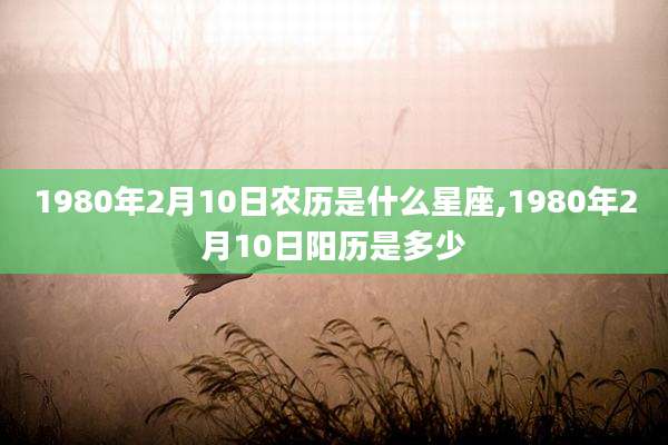 1980年2月10日农历是什么星座,1980年2月10日阳历是多少