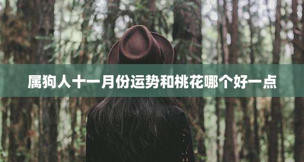 属狗人十一月份运势和桃花哪个好一点