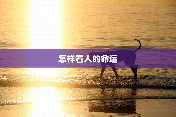 怎样看人的命运