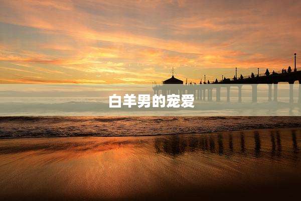 白羊男的宠爱