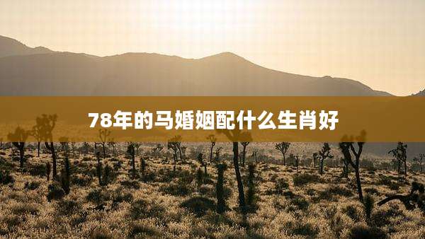 78年的马婚姻配什么生肖好