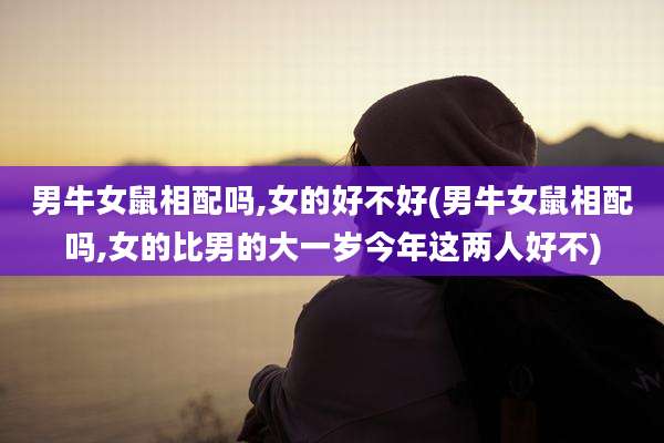 男牛女鼠相配吗,女的好不好(男牛女鼠相配吗,女的比男的大一岁今年这两人好不)