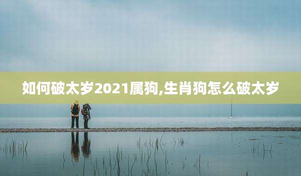 如何破太岁2021属狗,生肖狗怎么破太岁