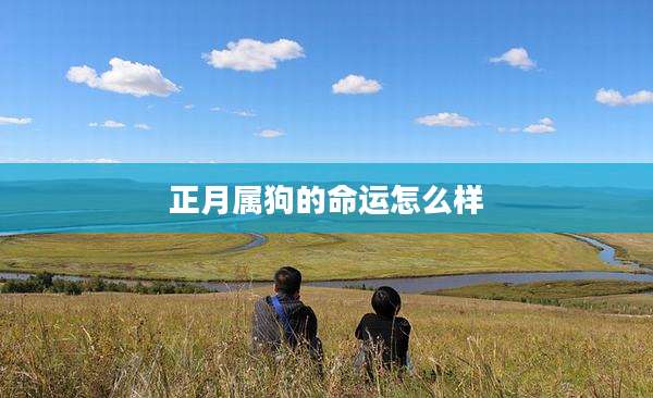 正月属狗的命运怎么样
