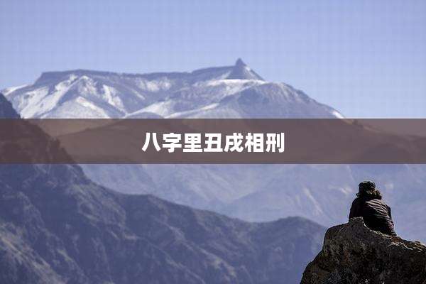 八字里丑戌相刑