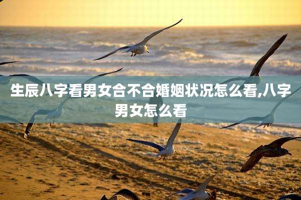 生辰八字看男女合不合婚姻状况怎么看,八字男女怎么看