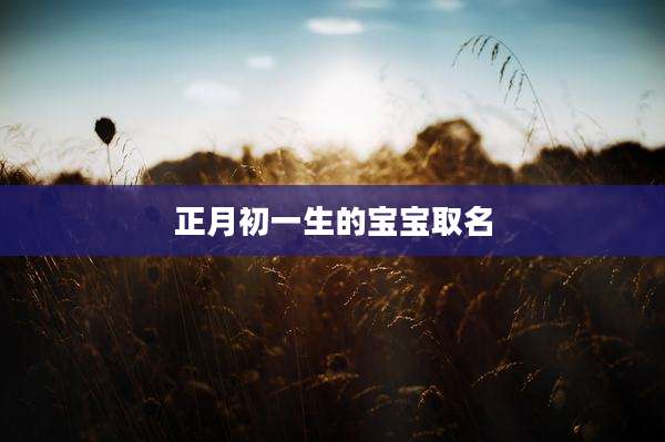 正月初一生的宝宝取名