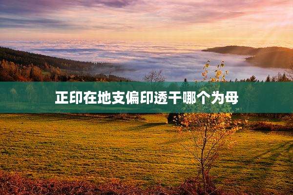 正印在地支偏印透干哪个为母