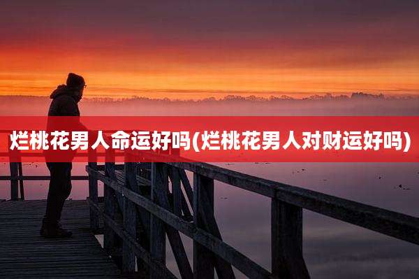 烂桃花男人命运好吗(烂桃花男人对财运好吗)