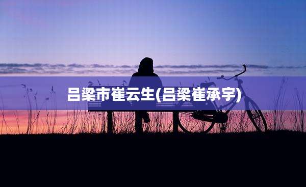 吕梁市崔云生(吕梁崔承宇)