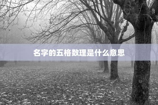名字的五格数理是什么意思