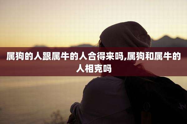属狗的人跟属牛的人合得来吗,属狗和属牛的人相克吗