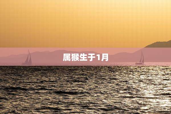 属猴生于1月