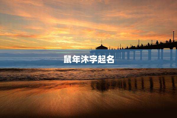 鼠年沐字起名