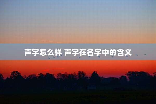 声字怎么样 声字在名字中的含义