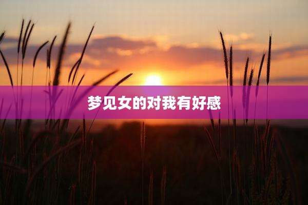 梦见女的对我有好感