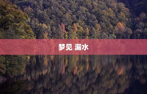 梦见 漏水