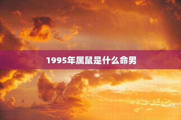 1995年属鼠是什么命男