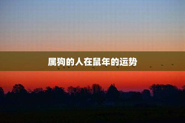 属狗的人在鼠年的运势
