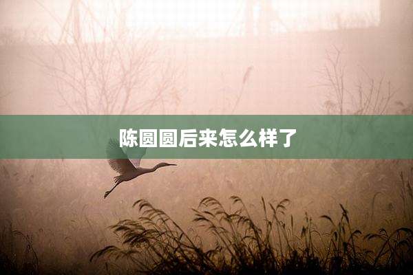 陈圆圆后来怎么样了
