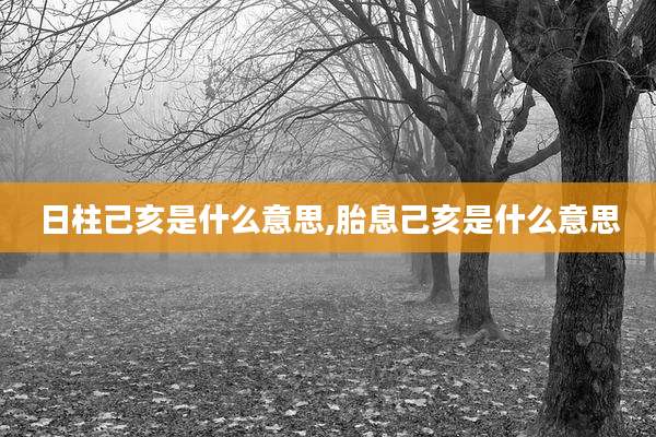 日柱己亥是什么意思,胎息己亥是什么意思