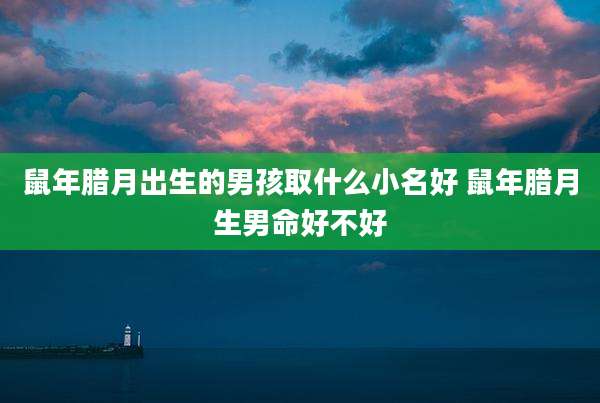 鼠年腊月出生的男孩取什么小名好 鼠年腊月生男命好不好
