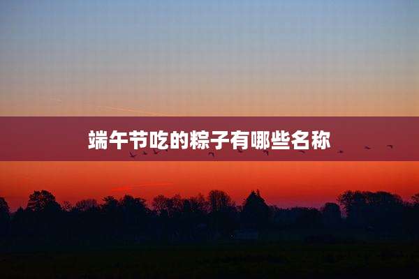 端午节吃的粽子有哪些名称