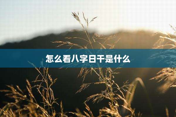 怎么看八字日干是什么
