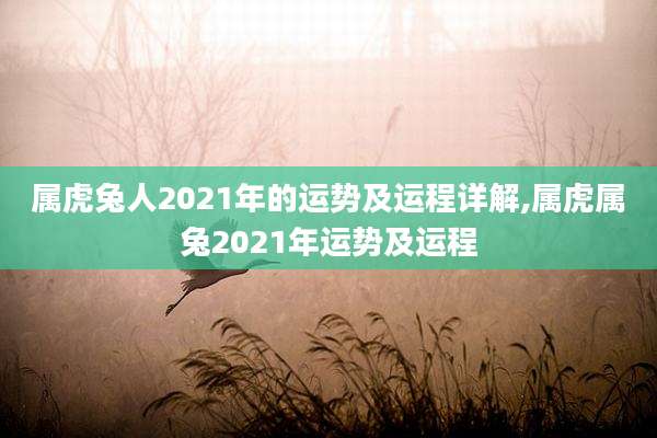 属虎兔人2021年的运势及运程详解,属虎属兔2021年运势及运程
