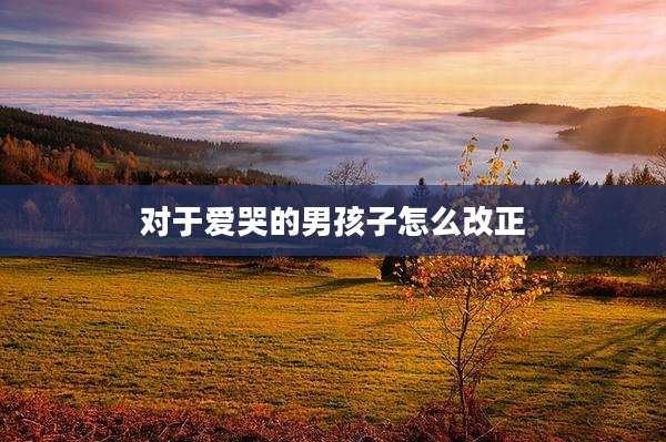 对于爱哭的男孩子怎么改正