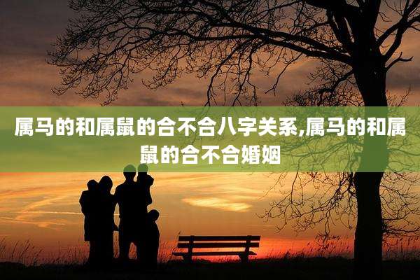 属马的和属鼠的合不合八字关系,属马的和属鼠的合不合婚姻