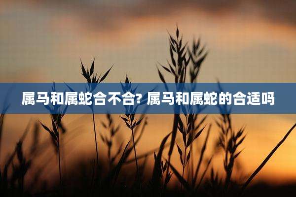 属马和属蛇合不合? 属马和属蛇的合适吗