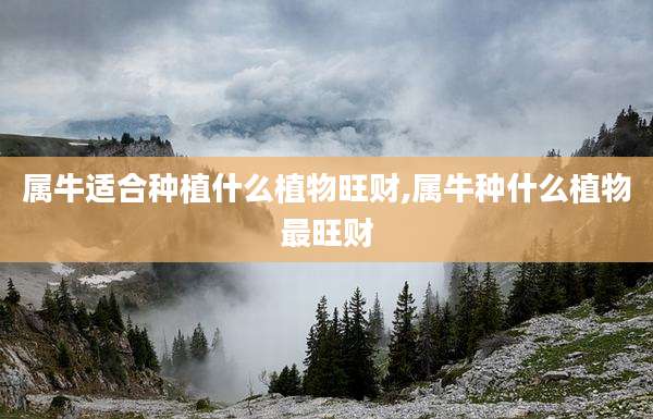 属牛适合种植什么植物旺财,属牛种什么植物最旺财