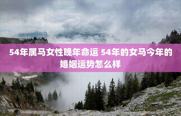 54年属马女性晚年命运 54年的女马今年的婚姻运势怎么样