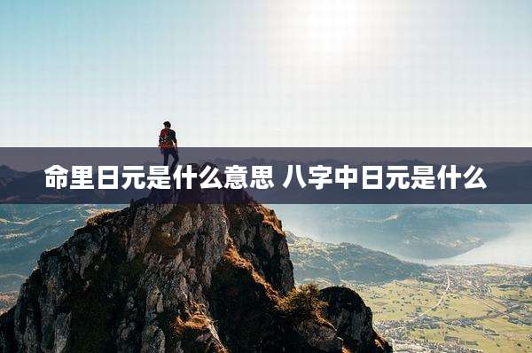 命里日元是什么意思 八字中日元是什么
