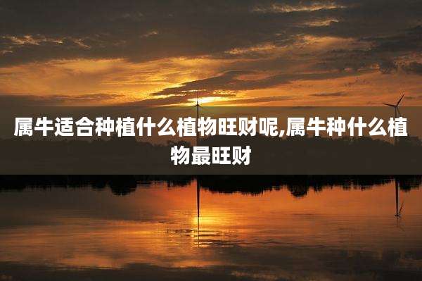 属牛适合种植什么植物旺财呢,属牛种什么植物最旺财