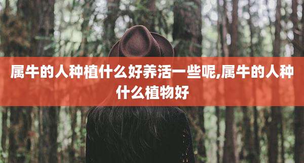 属牛的人种植什么好养活一些呢,属牛的人种什么植物好