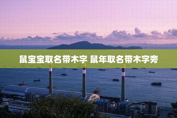 鼠宝宝取名带木字 鼠年取名带木字旁