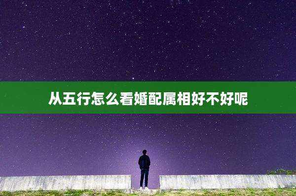 从五行怎么看婚配属相好不好呢