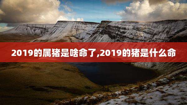 2019的属猪是啥命了,2019的猪是什么命